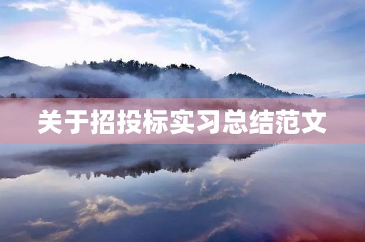 关于招投标实习总结范文 关于招投标实习总结范文