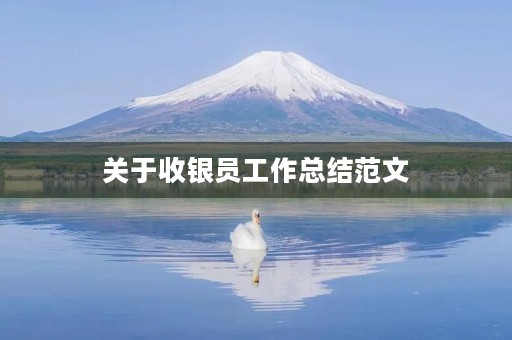 关于收银员工作总结范文 关于收银员工作总结范文
