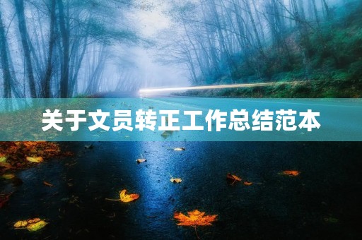 关于文员转正工作总结范本