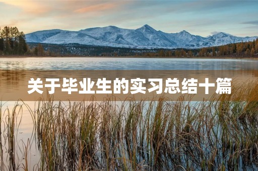 关于毕业生的实习总结十篇