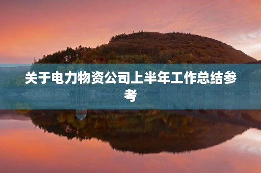 关于电力物资公司上半年工作总结参考
