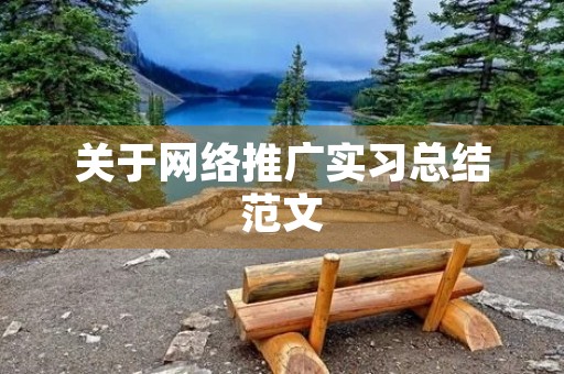 关于网络推广实习总结范文