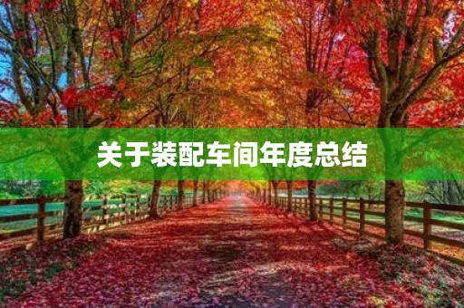 关于装配车间年度总结