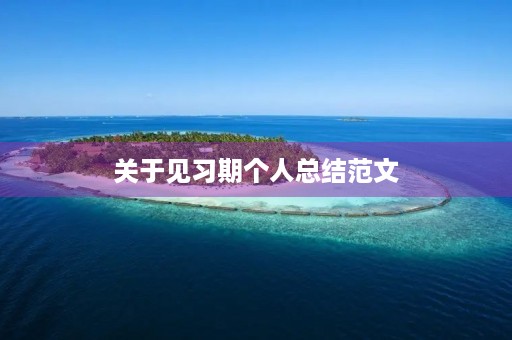 关于见习期个人总结范文