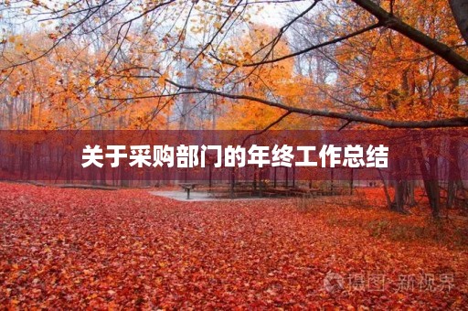 关于采购部门的年终工作总结（20篇）