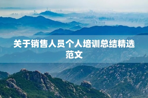 关于销售人员个人培训总结精选范文 关于销售人员个人培训总结精选范文