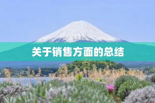 关于销售方面的总结