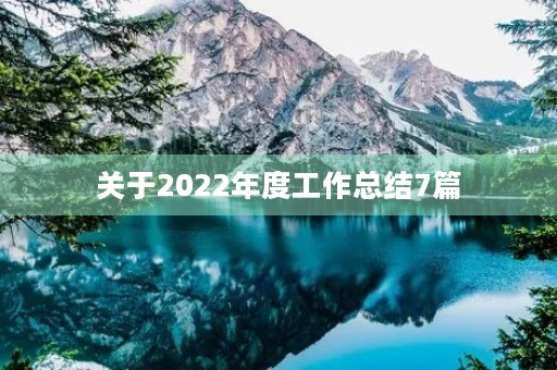 关于2022年度工作总结7篇