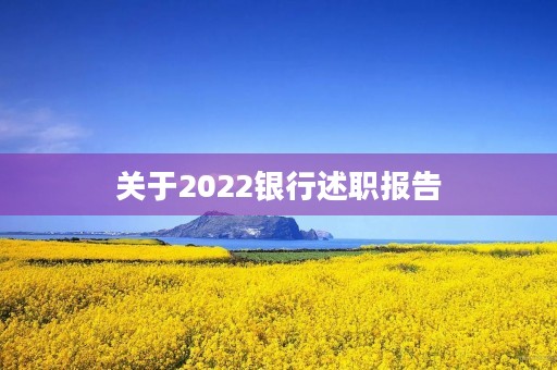 关于2022银行述职报告
