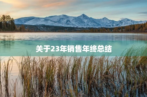 关于23年销售年终总结