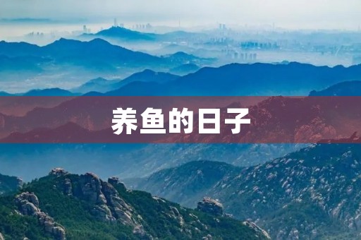 养鱼的日子