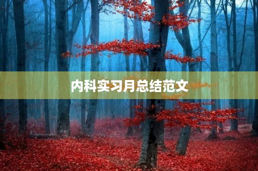 内科实习月总结范文 内科实习月总结范文