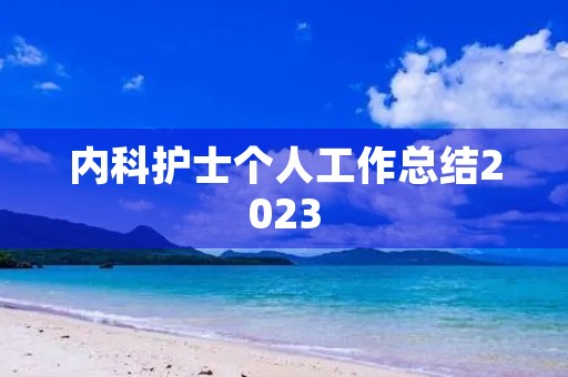 内科护士个人工作总结2023