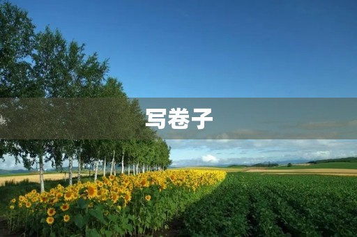 写卷子