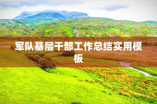 军队基层干部工作总结实用模板