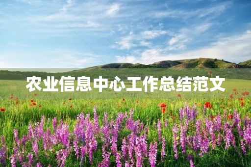 农业信息中心工作总结范文