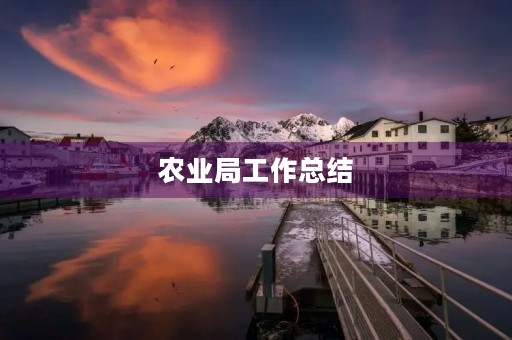 农业局工作总结