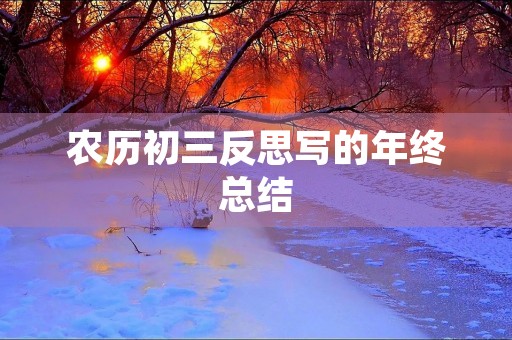 农历初三反思写的年终总结
