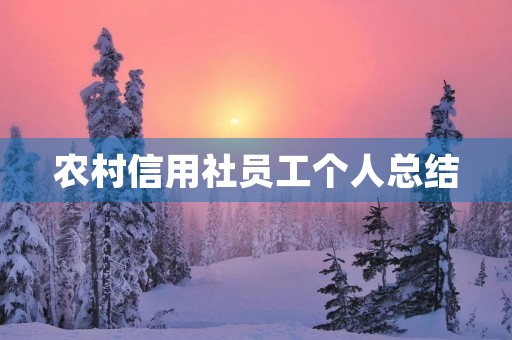 农村信用社员工个人总结