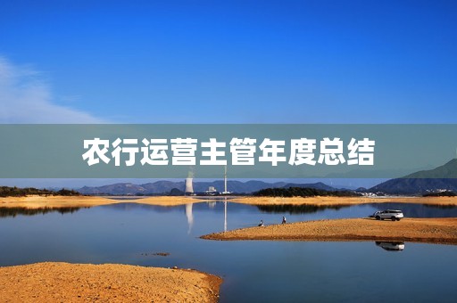 农行运营主管年度总结