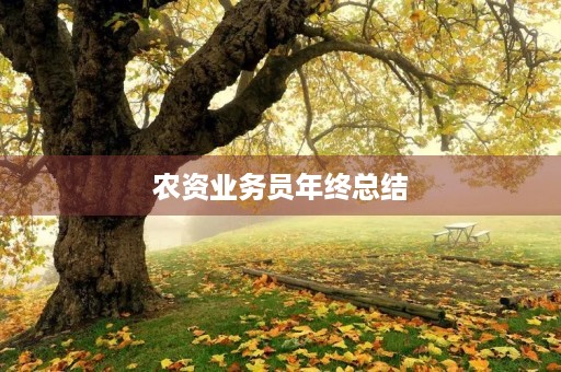 农资业务员年终总结