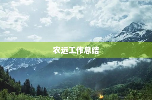 农远工作总结