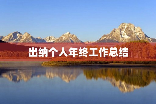 出纳个人年终工作总结