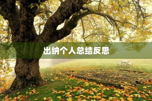出纳个人总结反思