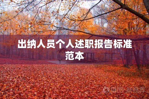 出纳人员个人述职报告标准范本