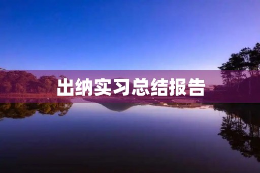 出纳实习总结报告 出纳实习总结报告