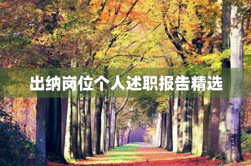 出纳岗位个人述职报告精选（10篇）