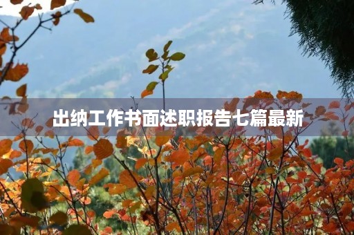 出纳工作书面述职报告七篇最新