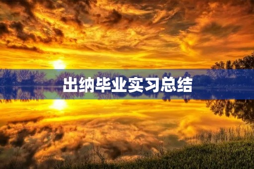 出纳毕业实习总结 出纳毕业实习总结