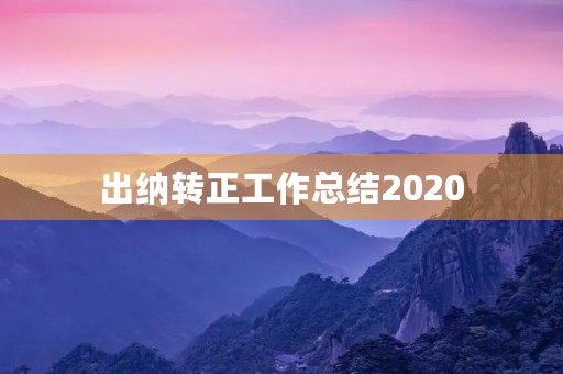 出纳转正工作总结2020
