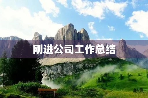 刚进公司工作总结