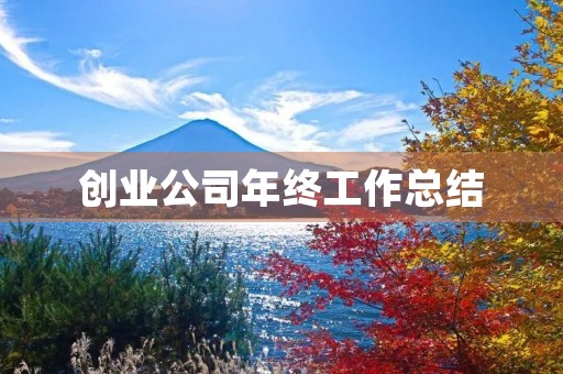 创业公司年终工作总结（15篇）