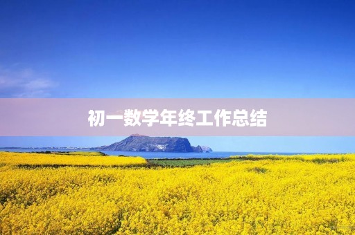 初一数学年终工作总结