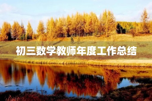 初三数学教师年度工作总结