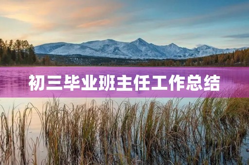 初三毕业班主任工作总结
