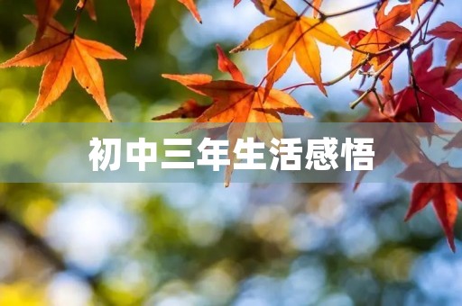 初中三年生活感悟