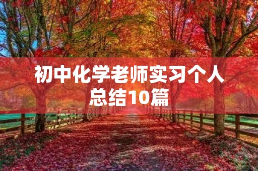 初中化学老师实习个人总结10篇