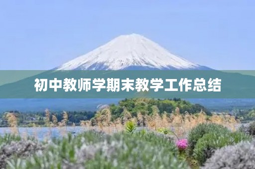 初中教师学期末教学工作总结