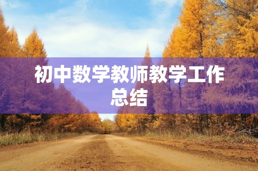 初中数学教师教学工作总结 初中数学教师教学工作总结