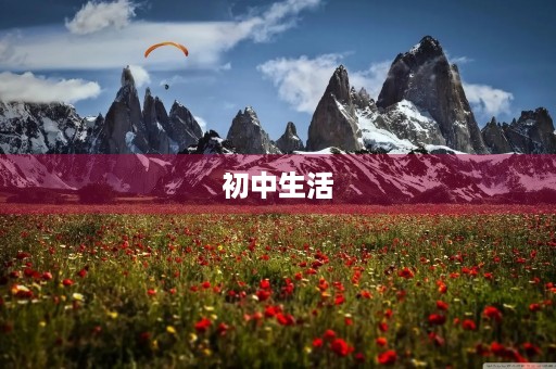 初中生活
