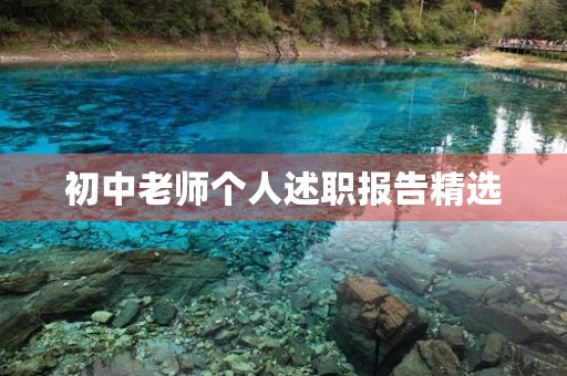 初中老师个人述职报告精选
