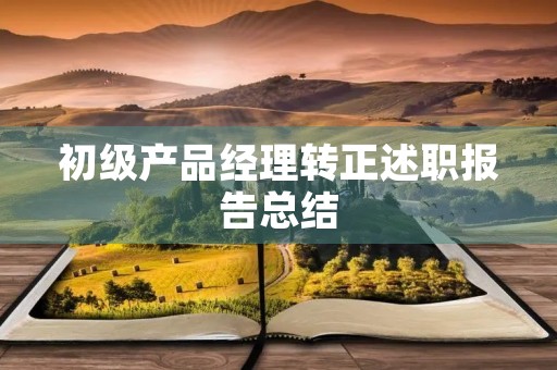 初级产品经理转正述职报告总结