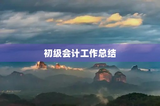 初级会计工作总结