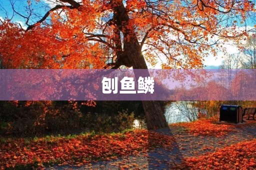 刨鱼鳞