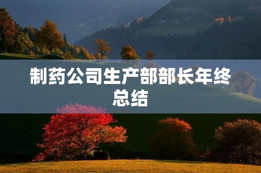 制药公司生产部部长年终总结
