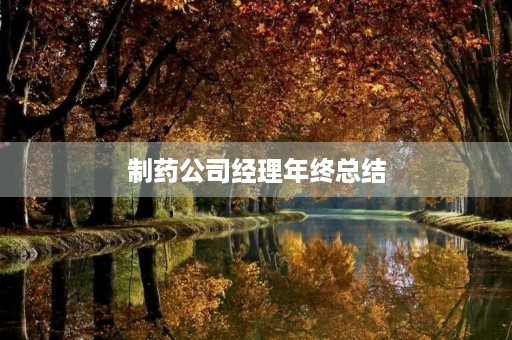 制药公司经理年终总结